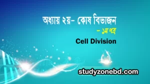 Chapter 02 Cell Division