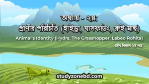 Animal's Identity (Hydra, The Grasshopper, Labeo Rohita) | অধ্যায় ২য় - প্রাণীর পরিচিতি (হাইড্রা, ঘাসফড়িং, রুই মাছ)
